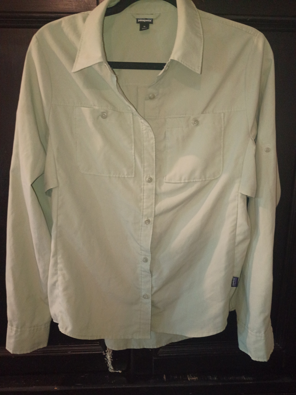 Patagonia Women’s Button-Down Shirt in Pale Green